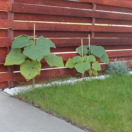 Studio Cu Gradina Proprie Apartamento Popesti-Leordeni Exterior foto